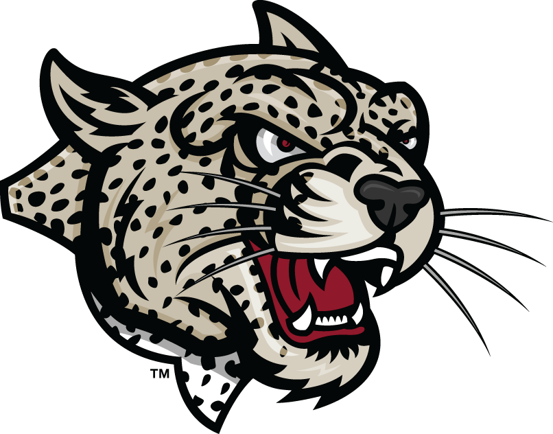 Lafayette Leopards 2000-Pres Partial Logo iron on transfers for clothing